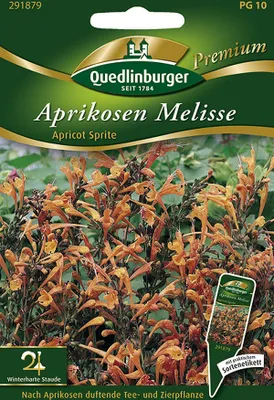 Produktbild von Aprikosen Melisse