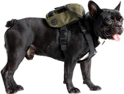 Produktbild von Hunde-Tasche kleine Hunde-Tasche mit Kotbeutel-Entleerer - ideal für tägliches Spazierengehen