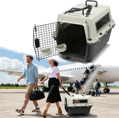Productafbeelding van Izrielar Transportbox voor huisdieren met wielen, 67,3 x 54,9 x 51,5 cm, van kunststof, grijs-wit