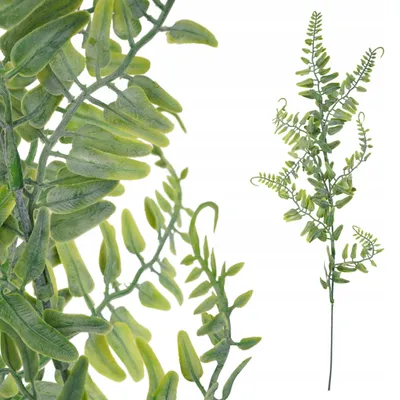 Obrázek produktu pro Topoblu Umělá větvička Ruscus zelená 48 cm s pohyblivými listy