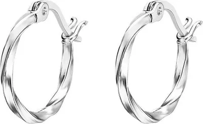 Image de Boucles d'oreilles élégantes en argent LP3279-4/1