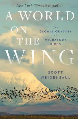Produktbild von A World on the Wing