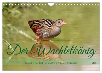Produktbild von Der Wachtelkönig (Wandkalender 2027 DIN A4 quer), CALVENDO Monatskalender