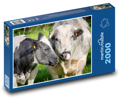Obrázek produktu pro Puzzle 2000 Krávy na louce - martinpuzzle