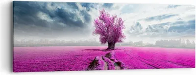 Produktbild von Bild auf Leinwand - Leinwandbild - Heidefeld Baum Wolken Landschaft - 90x30cm - Wand Bild - Wanddeko - Leinwanddruck - Bilder - Kunstdruck - Wanddekoration - Leinwand bilder - Wandkunst - AB90x30-2547