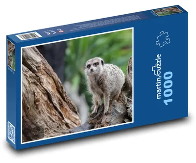 Obrázok produktu pre Puzzle 1000 Surikata v africkej divočine - martinpuzzle