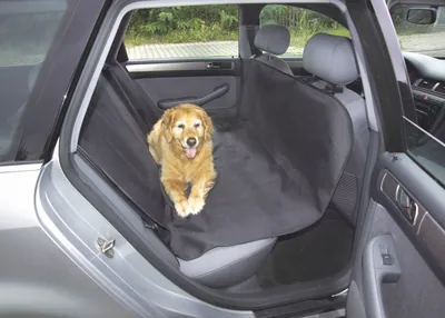 Immagine prodotto di coperta per cani da auto uniTEC nera