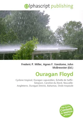 Produktbild von Hurrikan Floyd