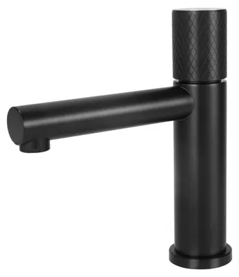 Image de Robinet pour lavabo à une seule levier, finition en acier inoxydable