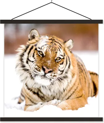 Produktbild von MuchoWow® Textilposter Tiger - Schnee - Weiß 60x60 cm mit schwarzem Rahmen - Posteraufhänger