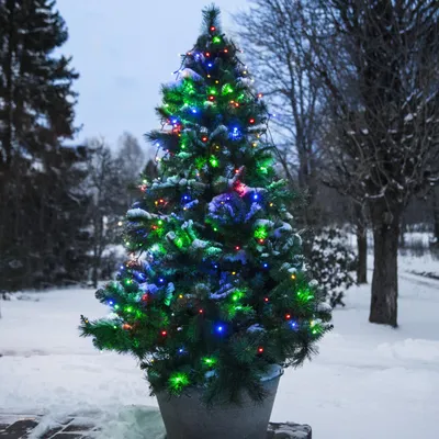 A decorated Christmas tree in a snowy outdoor setting.