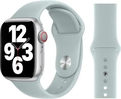 Produktbild von Original Apple Sport Armband M/L 38/40/41mm MP723ZM/A Succulent