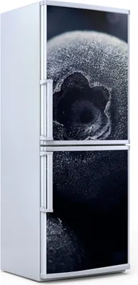 Produktbild von Kühlschrankdekoration  60x180 cm  Aufkleber auf dem Kühlschrank - Gefrorene Blaubeeren