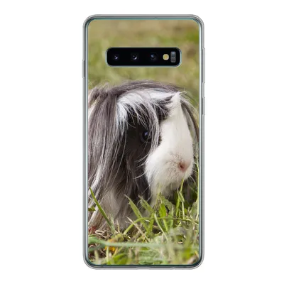 Produktbild von MuchoWow® Handyhülle Schutzhülle Hülle für Samsung Galaxy S10 Langhaar-Meerschweinchen Silikon Softcase Handy Hülle - Handytasche