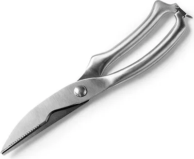 Immagine prodotto di Ibili Cesoie professionali per pollame Argento Argento Taglia unica