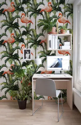 Produktbild von Coloray Fototapete 104x70 cm Vlies-Fototapete - Flamingoflamingo.