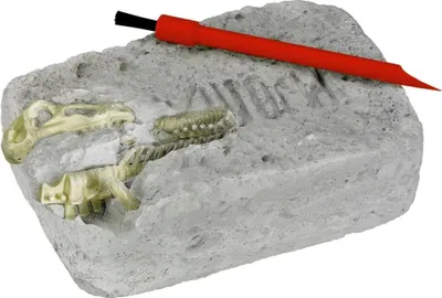 Produktbild von T-Rexworld Ausgrabungsset Triceratops - T-Rex World