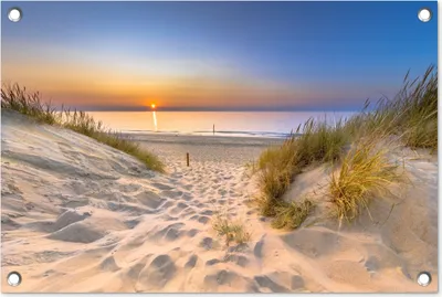 Produktbild von MuchoWow® 60x40 cm Outdoor-Poster Gartendeko Sichtschutz Garten Poster für den Garten  Düne - Sonnenuntergang - Horizont - Strand - Gras