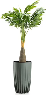 Immagine prodotto di HowHomely | Fioriera - Stripped - 25,3x42 cm - Grigio - Verde - Design moderno - Resistente ai raggi UV e leggera