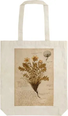 Obrázek produktu pro Bavlněná taška STBAG36 Anno 1550 Nákupní taška