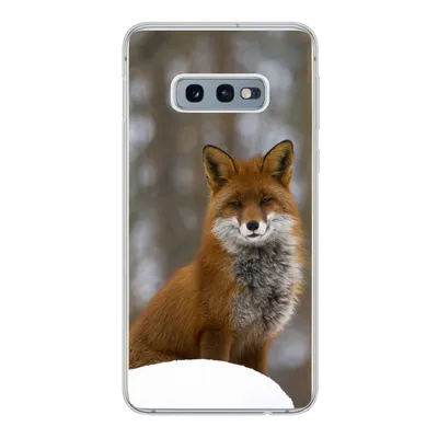 Produktbild von MuchoWow® Handyhülle Schutzhülle Hülle für Samsung Galaxy S10e Fuchs - Wald - Rot Silikon Softcase Handy Hülle - Handy
