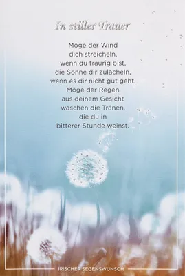 Produktbild von Trauer Beileid Kondolenz unverpackte Karte mit Umschlag In stiller Trauer Pusteblume Möge der Wind
