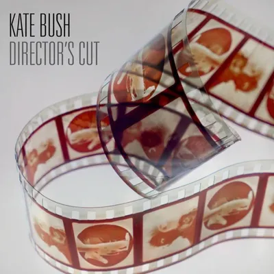 Obrázek produktu pro Kate Bush: Directors Cut (2018 Remaster)