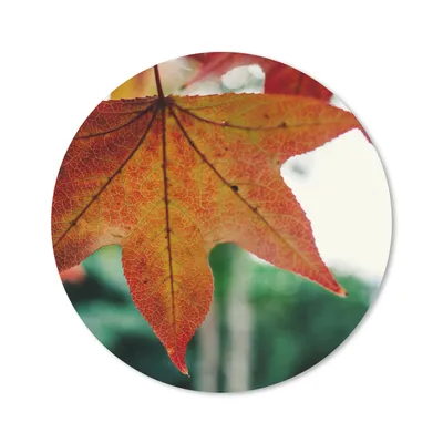 Produktbild von MuchoWow® Mauspad Mousepad Herbst - Landleben - Blätter - Jahreszeiten - Landleben 20x20 cm - Mousepads - Maus Mat - Pad - Mausunterlage - Schreibtischmatte