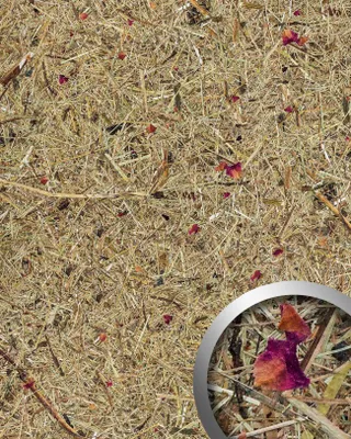 Produktbild von WallFace AL-11003 ALPINE ROSE selbstklebende Tapete mit Almwiesen-Einrichtungs 4 m2