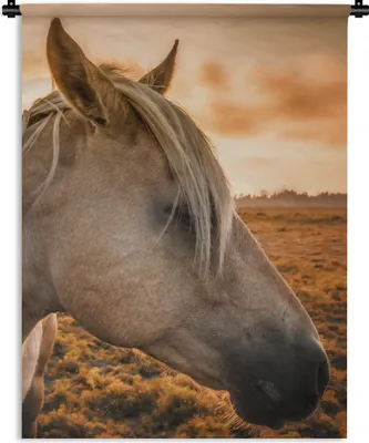 Produktbild von MuchoWow® Wandteppich Wandbehang Pferd - Tiere - Porträt 60x80 cm Tapisserie Dekoration Wandtuch - Decke - Wandtücher - Wohne