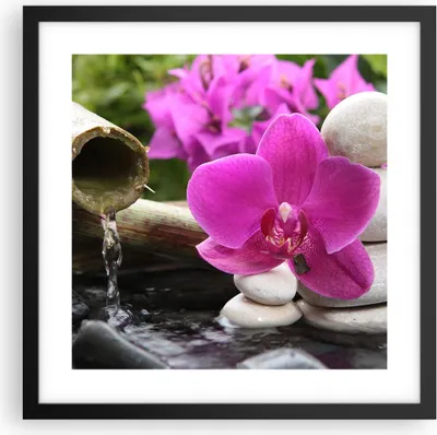 Produktbild von Gerahmtes Poster - Schwarzer Rahmen - Orchidee Bambus Dekoration Spa - 40x40 cm - Wand Bild - Wanddeko - Wandbilder - Wandposter - Bilderrahmen - Bilder - Kunstdruck - Wandbild - P2BAC40x40-2666