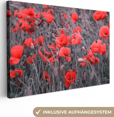 Produktbild von OneMillionCanvasses® - Leinwandbilder - 150x100 cm, Rote Mohnblumen in einem Schwarz-Weiß-Bild, Wandbilder Kunstdruck Wanddekoration