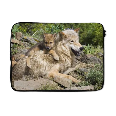 Produktbild von MuchoWow® Laptop Hülle 13 Zoll Wolf - Jungtier - Tier Laptoptasche - Laptophülle - Sleeve - Rundumschutz