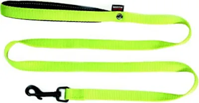 Produktbild von Hundeleine aus Nylon in Grün, 1,6 cm breit, 120 cm lang, mit Musketonhaken