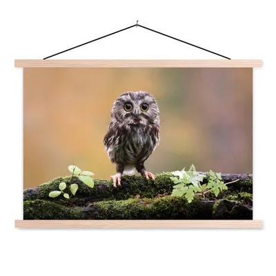 Produktbild von MuchoWow® Textilposter Steinkauz 120x80 cm mit holzfarbenen Rahmen - Aufhängeset