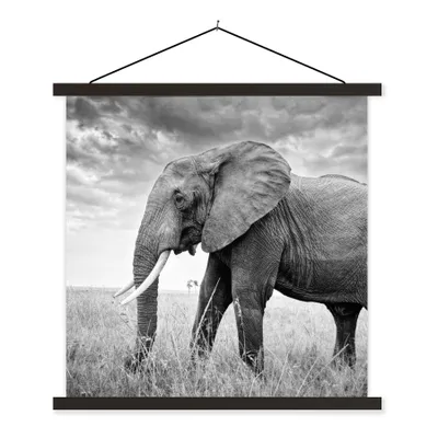 Produktbild von MuchoWow® Textilposter Elefant - Gras - Tiere - Schwarz und weiß 40x40 cm mit schwarzem Rahmen - Fotos