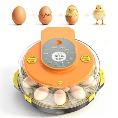 Brutmaschine für 15 Eier mit Eierwender und Kontrolle