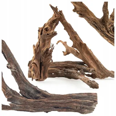 Image de Racine d'aquarium Mangrove M 30 cm Bois naturel