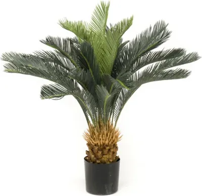 Produktbild von Emerald Künstlicher Japanischer Palmfarn im Topf 80 cm