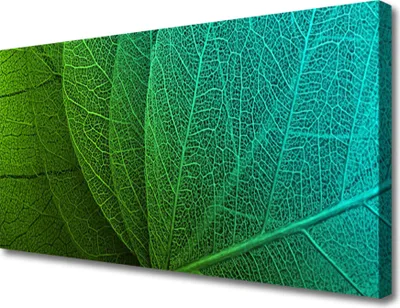 Produktbild von Tulup Leinwand-Bilder 100x50 Wandbild Canvas Kunstdruck Abstrakte Blätter Pflanzen