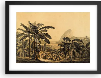 Produktbild von Gerahmtes Poster - Schwarzer Rahmen - Palmen Wald Regnerisch - 40x30 cm - Wand Bild - Wanddeko - Wandbilder - Kunstposter - Wandposter - Bilderrahmen - Bilder - Kunstdruck - P2BAA40x30-4983