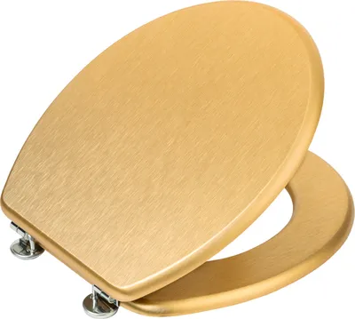 A close-up studio shot of a gold-colored toilet seat.