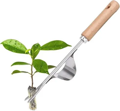 Immagine prodotto di Zappa ergonomica in acciaio inossidabile con manico in legno - Utensile manuale per un'efficace diserbo
