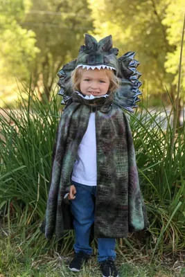 Produktbild von Kinder Dinosaurier Cape Dilophosaurus mit Krallen, 4–6 Jahre