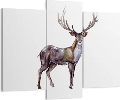 Produktbild von Bild auf Leinwand - Leinwandbild - Liebes Tier Wild Wald - 130x100cm - Wand Bild - Wanddeko - Leinwanddruck - Bilder - Kunstdruck - Wanddekoration - Leinwand bilder - Wandkunst - CB130x100-2938