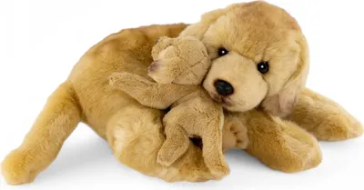 Immagine prodotto di Carl Dick Labrador con bambino di circa 30 cm peluche, peluche, peluche 3618
