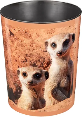 Image de Läufer 26570 Corbeille à papier - 13 L, Suricate(P)