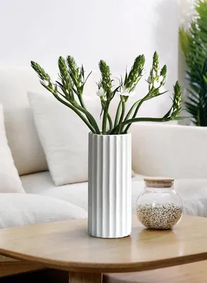 Produktbild von Famanu Keramikvase Minimalistisches Design - Weiß, 16,5 cm