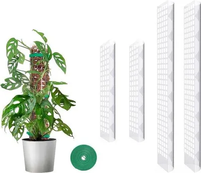Productafbeelding van Famanu plantensteunen, 61 cm en 38 cm - ondersteuningspalen voor klimplanten