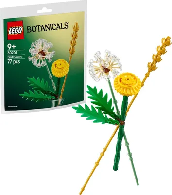 Image de LEGO LEGO® Botanicals 30701 Feldblumen 30701